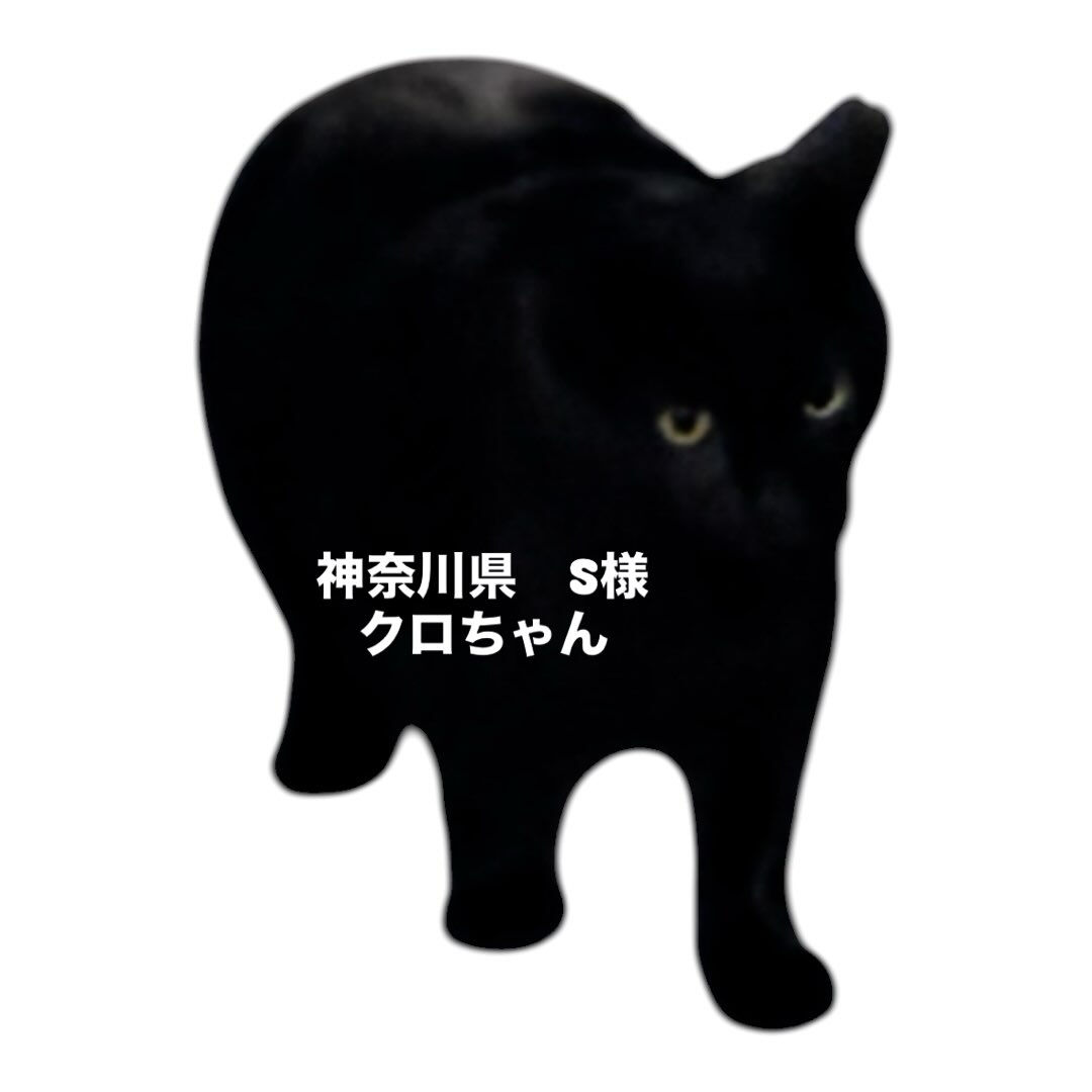 気づいたら窓が開いており、3日程探しても見つからなかったので