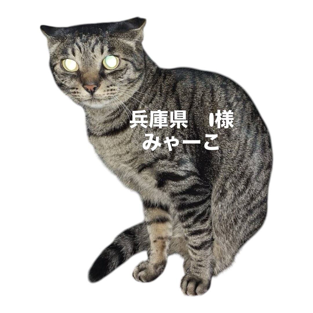 見つけていただきありがとうございました